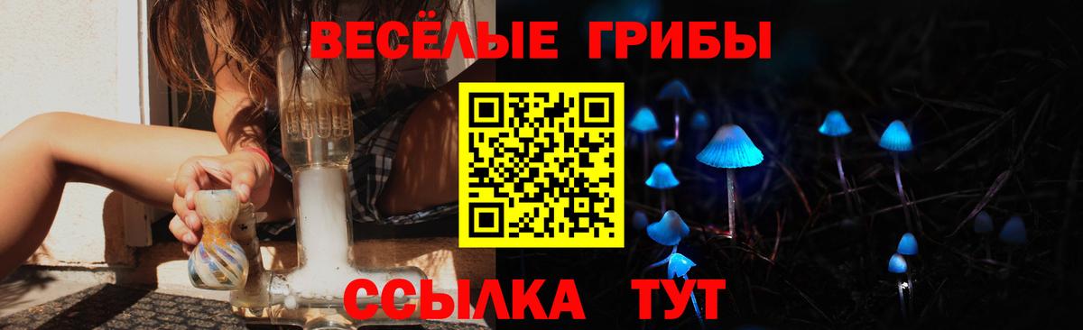 Галлюциногенные грибы Psilocybine cubensis  Вход с VPN  Галлюциногенные грибы Psilocybine cubensis  Кыштым 
